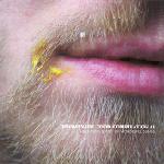 Various - Promenade Food Compilation #1 - 7